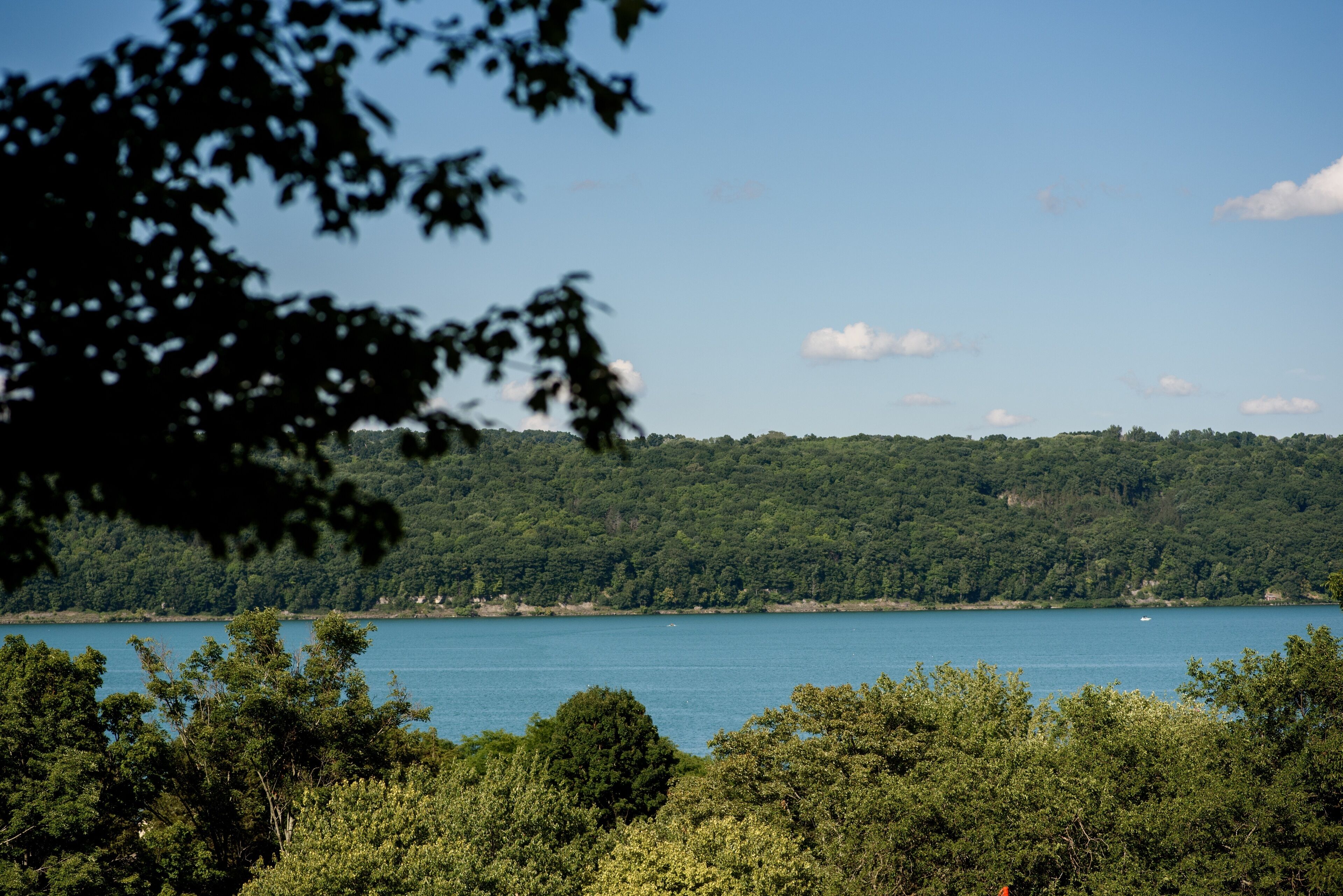 Un lago rodeado de bosque denso y colinas.