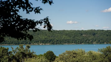 Un lago rodeado de bosque denso y colinas.