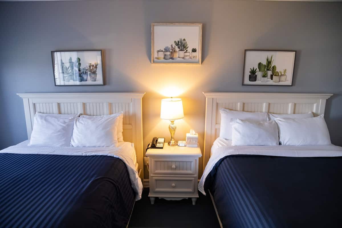 A hotel room with two beds, a nightstand with a lamp, a phone, and a tissue box. There are framed pictures of plants on the wall.