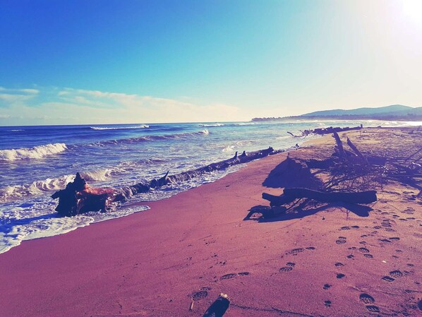 Strand