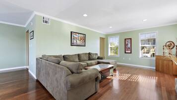 TV connectée, cheminée, lecteur de DVD, chaßne hi-fi