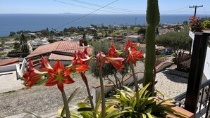 A balcony with red flowers, a view of the sea, and houses with red-tiled roofs.