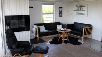 Fernseher, Stereoanlage