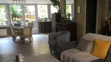 TV, fireplace, books, music library