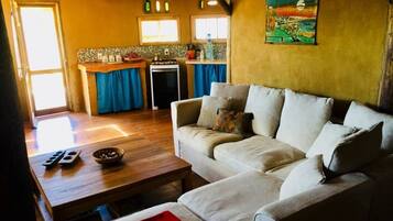 Smart TV, fireplace, books