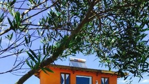 A two-story house with a large front yard and a hammock. - Ecological mud house (Maldonado)