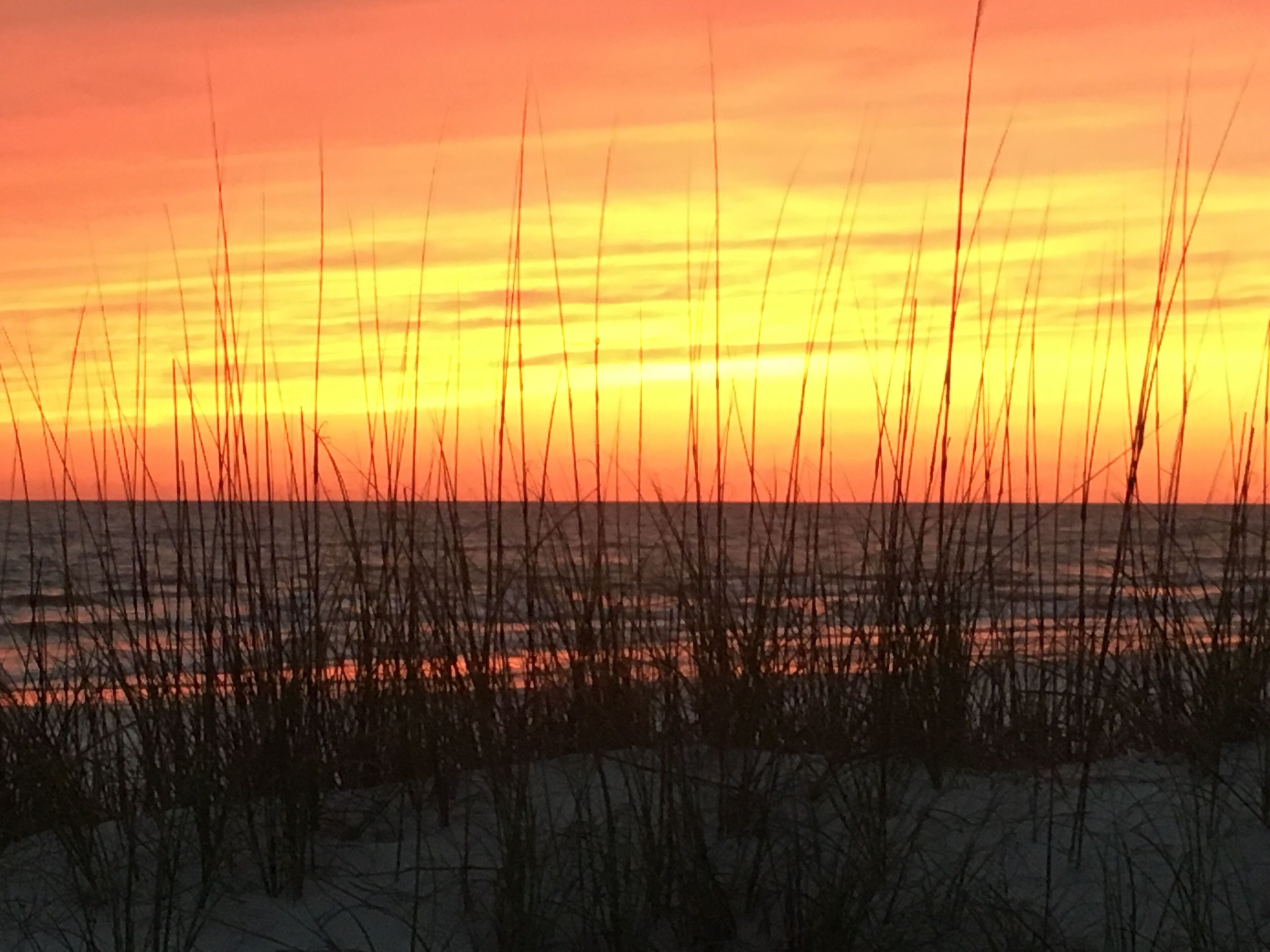 A beach at sunset with sand dunes and grasses in the foreground.