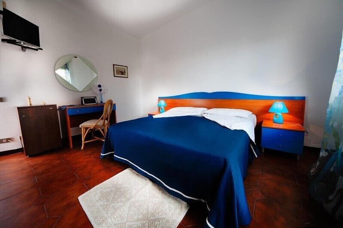Doppia Standard, 1 letto queen, non fumatori | Biancheria da letto ipoallergenica, copriletto in piuma