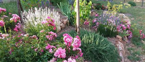 المنطقة المحيطة بالمنشأة