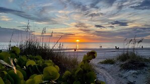 Una spiaggia al tramonto, con sabbia e vegetazione rada.