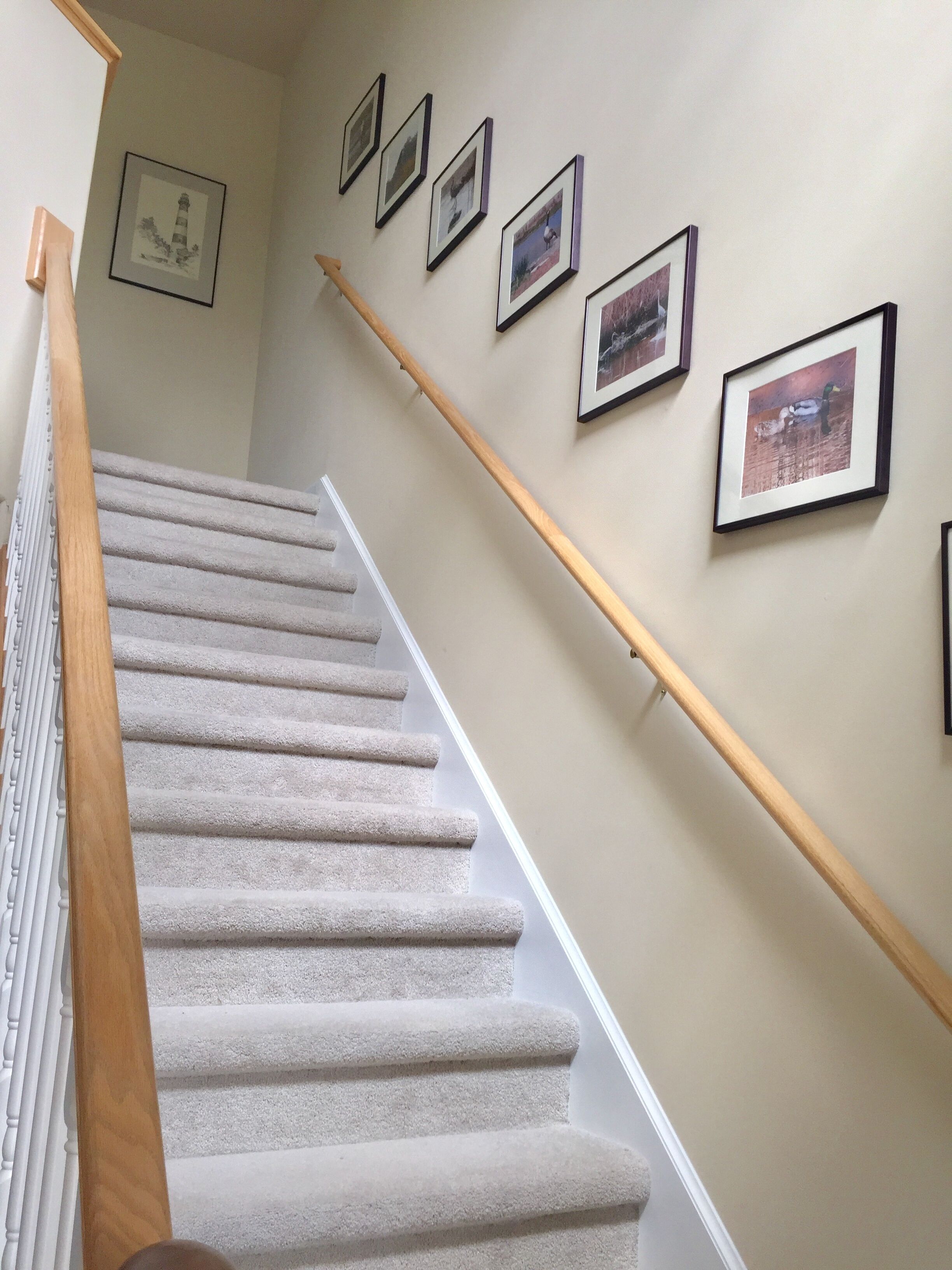 10 Best PetFriendly Vacation Rentals In Chincoteague, Virginia