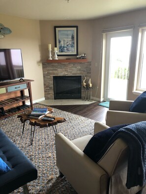 Smart TV, fireplace, books