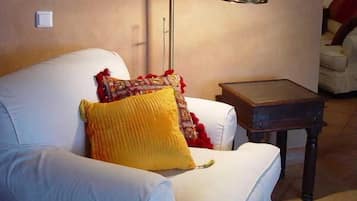 Smart-tv, pejs, Netflix, dvd-afspiller