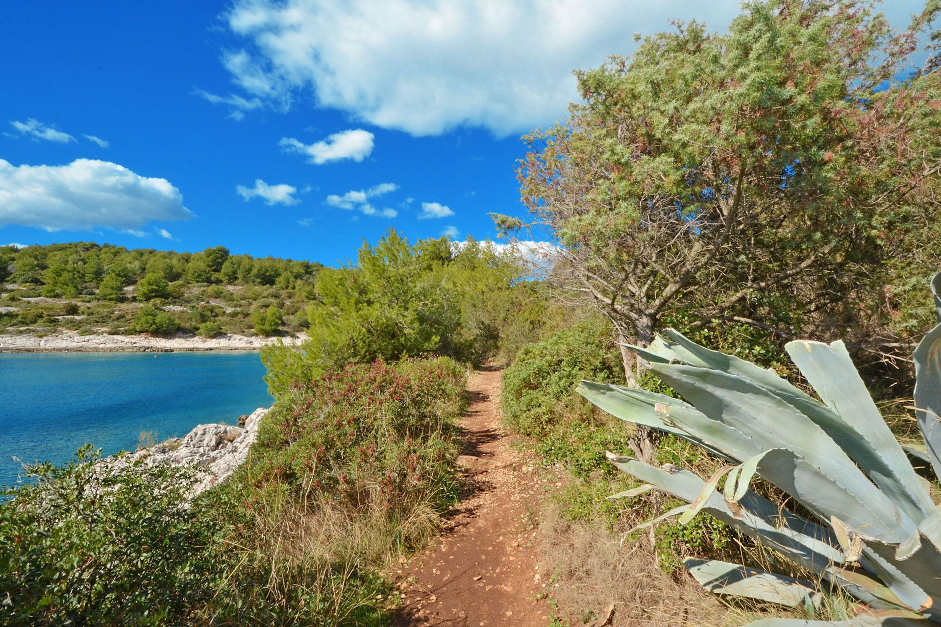 A coastal path with a clear view of the sea and a rocky shoreline.