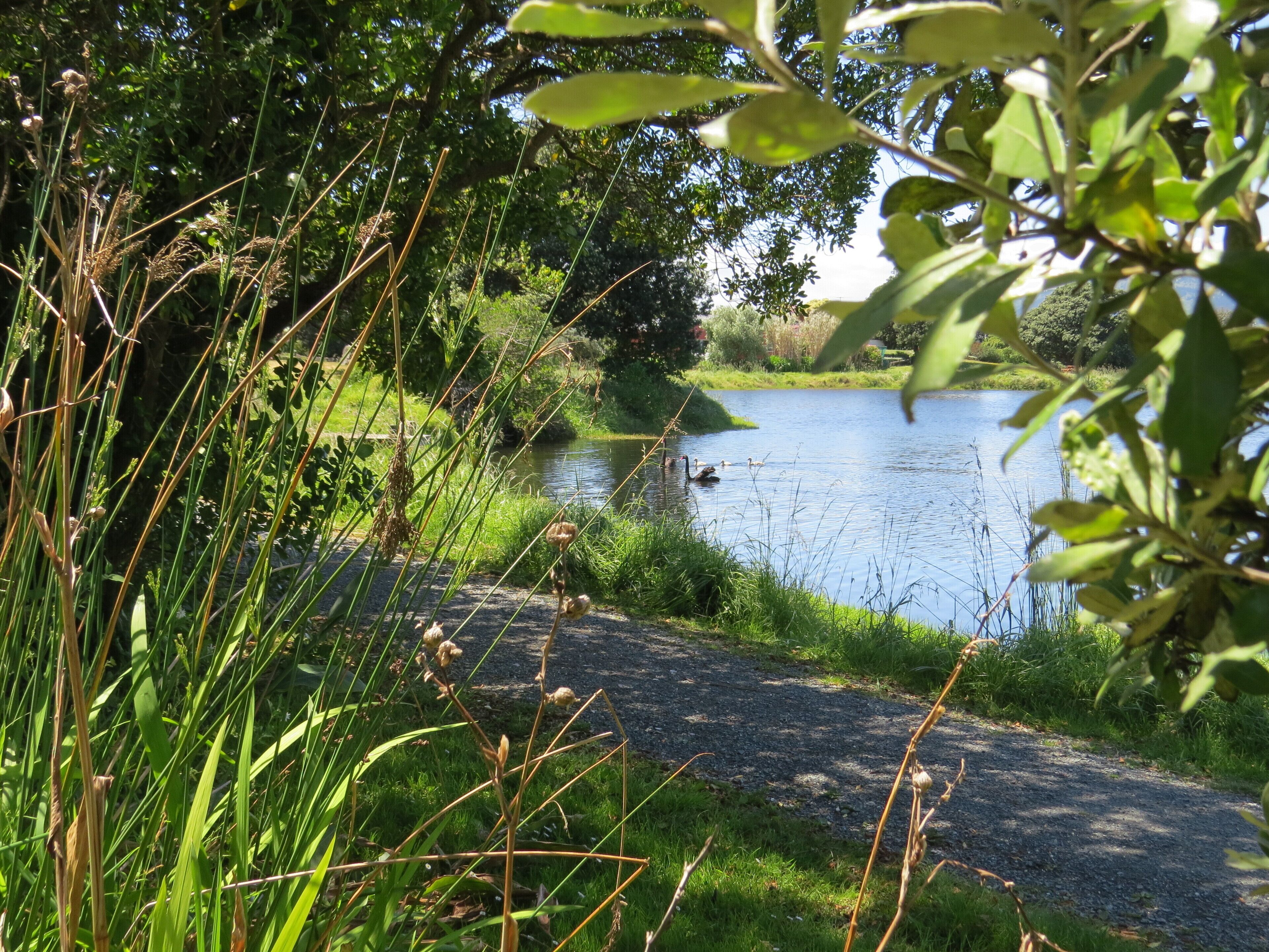 Pathway around the lagoon