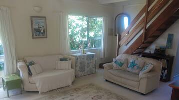 TV, fireplace, books