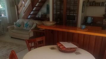 TV, fireplace, books