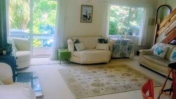 TV, fireplace, books