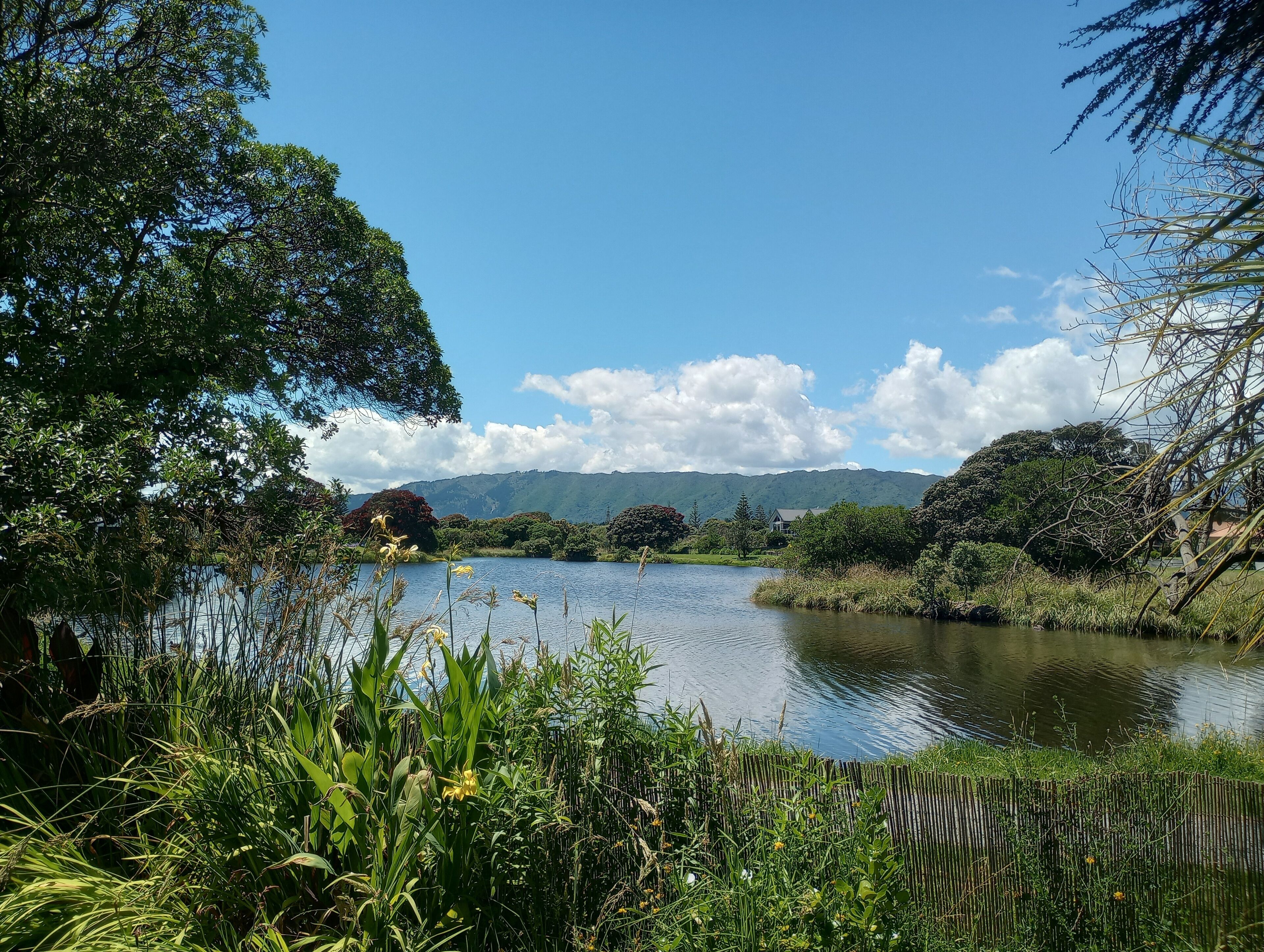 A serene lake surrounded by lush greenery and mountains in the background.