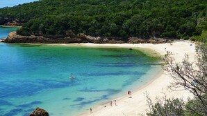 A beach with clear turquoise water, sandy shore, and dense green forest. - Cantua Villa, AC, Wifi, Swimming pool (Azeitão)