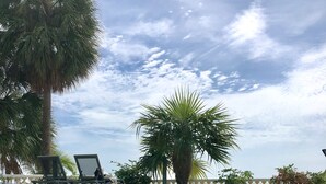 Una piscina cristalina con sillas de descanso y palmeras.