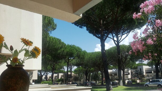 Ein Innenhof mit Sonnenblumen in einer Vase, Bäumen und geparkten Autos.