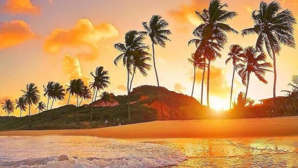 A beach scene with palm trees and a sunset. - Pousada Refúgio (João Pessoa)