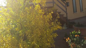 A two-story building with a yellow facade, a wooden staircase, and potted plants on the balcony. - Attic with flowers. (Abatemarco)