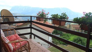 A balcony with wicker furniture, a satellite dish, and potted plants. - Attic with flowers. (Abatemarco)