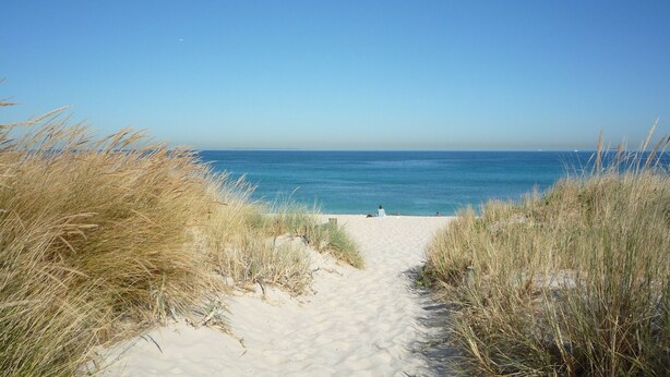 Ein schmaler Sandweg führt zum Meer, gesäumt von hohem Gras.