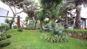 Ein gepflegter Garten mit Hängematte, Palmen und diversen Pflanzen.