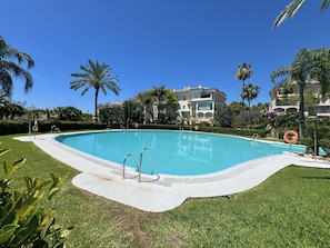 A swimming pool with a clear blue water, surrounded by well-maintained grass and palm trees.