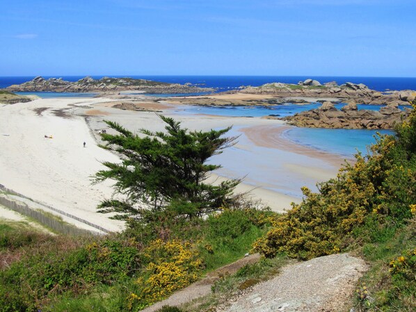 Accommodatie ligt op het strand, ligstoelen