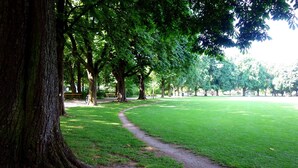 Um parque com uma trilha de terra, árvores e uma área gramada.