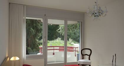 Spacious, cozy apartment in a quiet neighborhood near the center