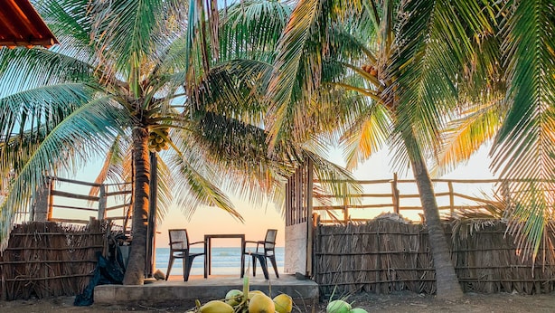 Un espace aménagé avec des sièges, situé au bord de la plage, offrant une vue sur l’océan, entouré de palmiers et surmonté d’une structure à toit de chaume.