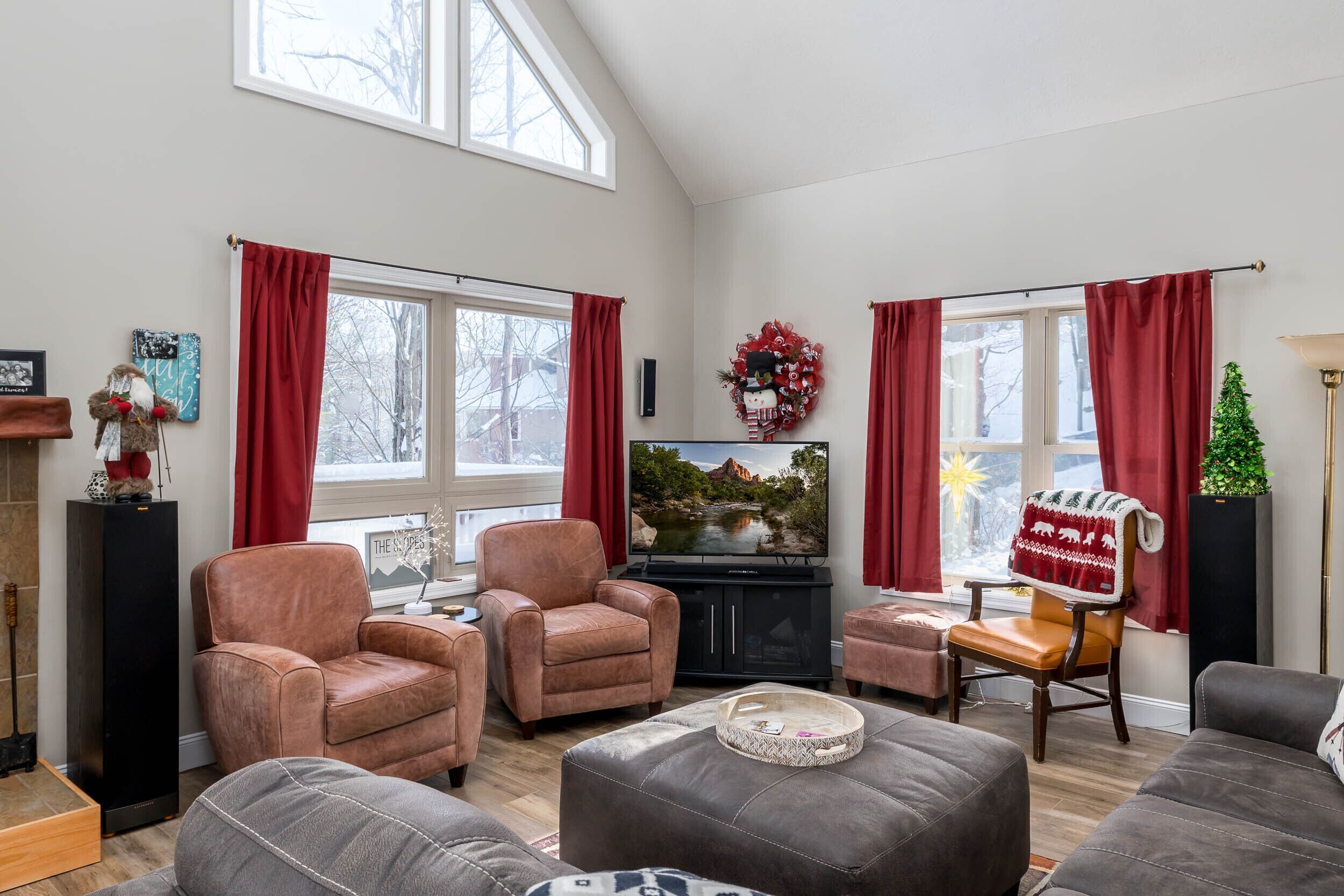 Smart-tv, pejs, videospil, dvd-afspiller