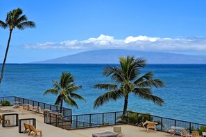 テラス / パティオ