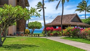 A hotel with a pathway leading to a building with a tiled roof, surrounded by lush greenery and palm trees.