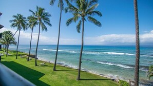 A view of a beach with palm trees and the ocean.