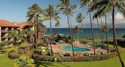 Fall Sale - Ground Floor- Just Renovated, AC & 20 steps to the Ocean