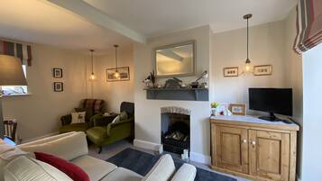 TV, fireplace, books