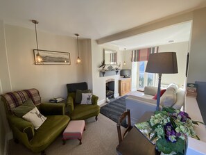 TV, fireplace, books