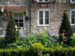 Exterior detail - St Etheldreda's Cottage, lovingly restored and impeccably presented (Wells)