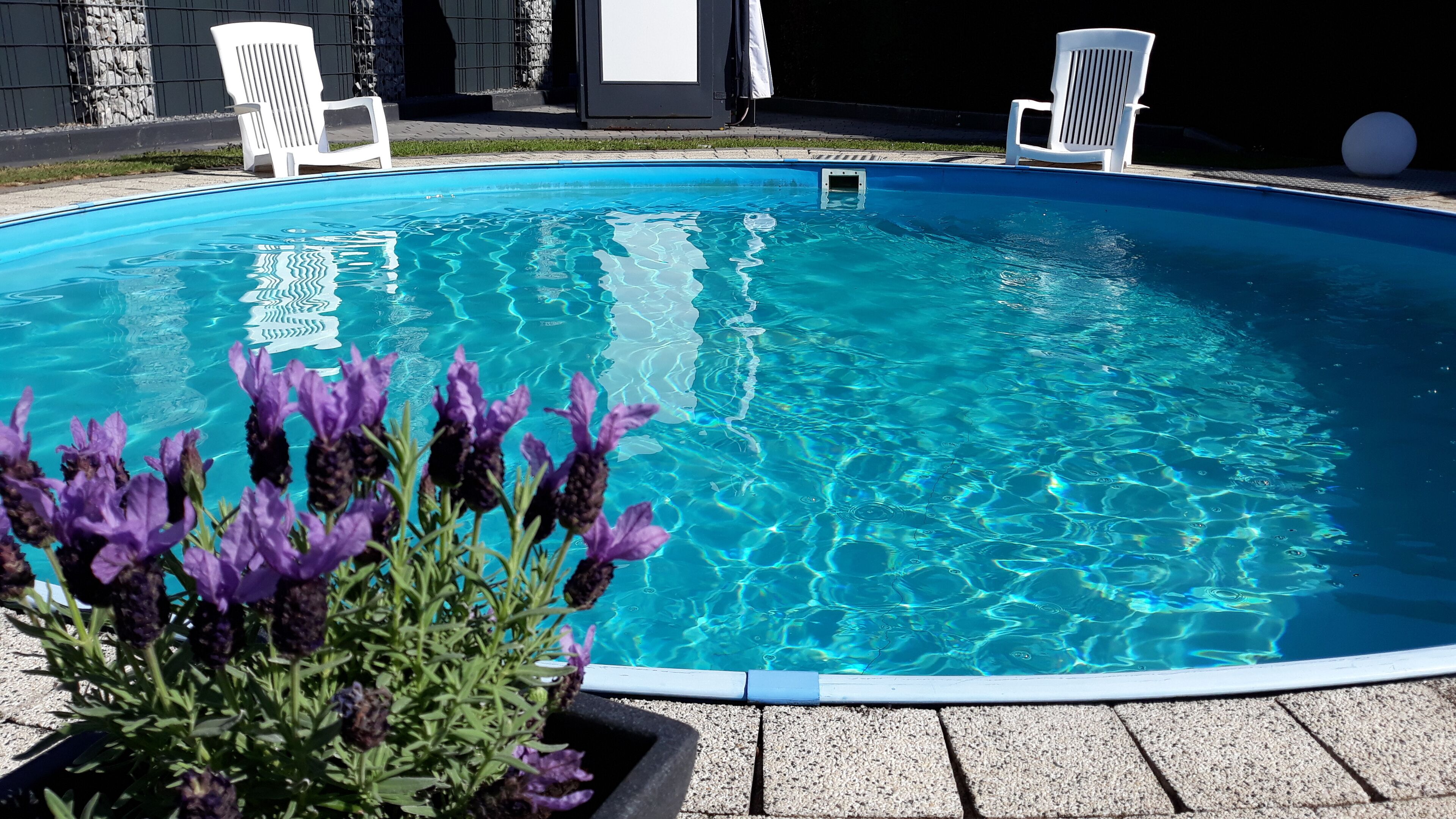A clear blue swimming pool with white chairs and a potted plant with purple flowers.