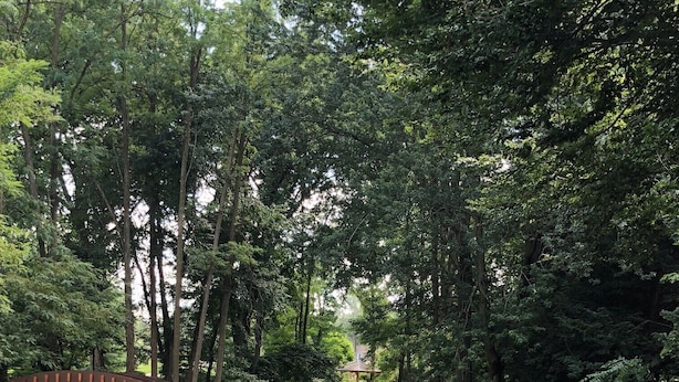 A garden with a gazebo, a grassy lawn, and flower beds. - Charming, spacious home near towncenter amenities, resturants, trails and parks. (Middlebury)