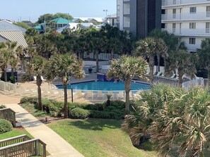 Relax by the pool surrounded by lush greenery and palm trees in our serene courtyard.