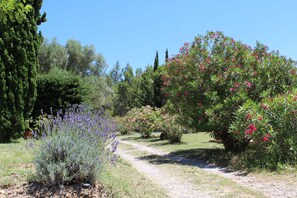 Property grounds - Former sheepfold with swimming pool, among the pines, near the sea. (Aude)
