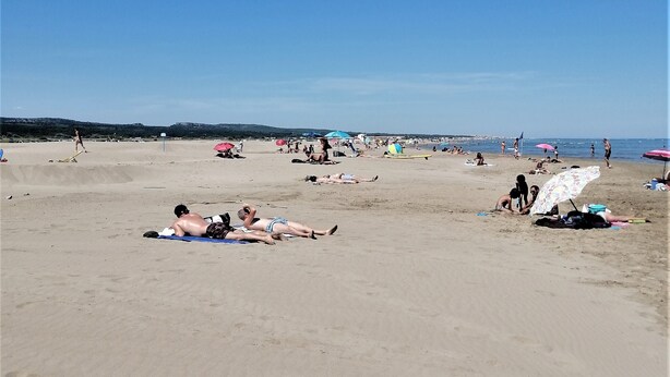 A beach with people sunbathing and swimming, umbrellas, and beach chairs. - Former sheepfold with swimming pool, among the pines, near the sea. (Aude)
