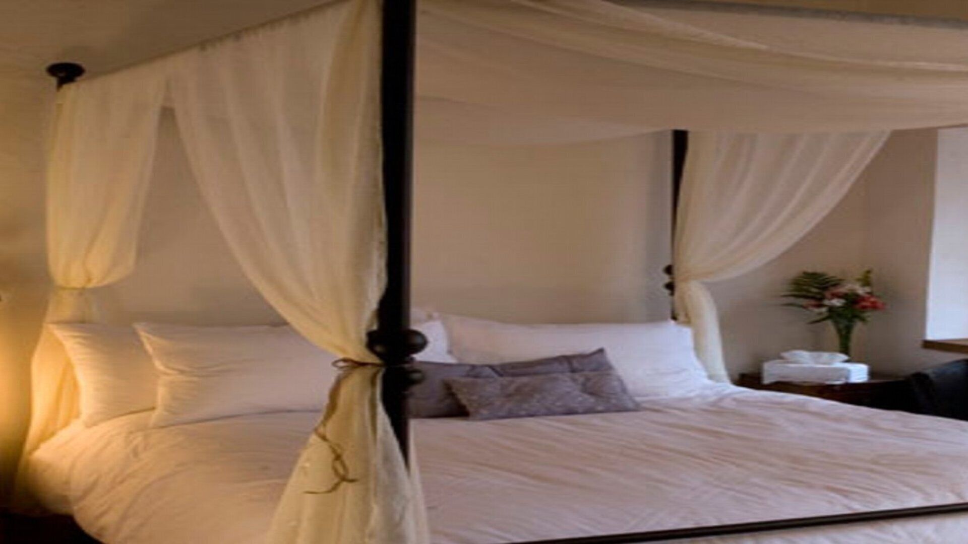 A Really Nice House In Dowtown.